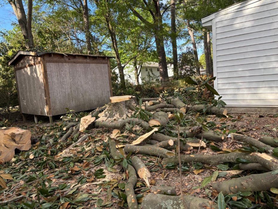 Lion Tree Service and Landscaping LLC project photo 38